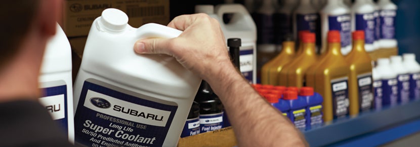 Picture of Subaru Super Coolant. | Sutherlin Subaru in Kingston TN