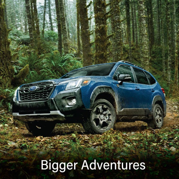 A blue Subaru outback wilderness with the words &ldquo;Bigger Adventures&ldquo;. | Sutherlin Subaru in Kingston TN