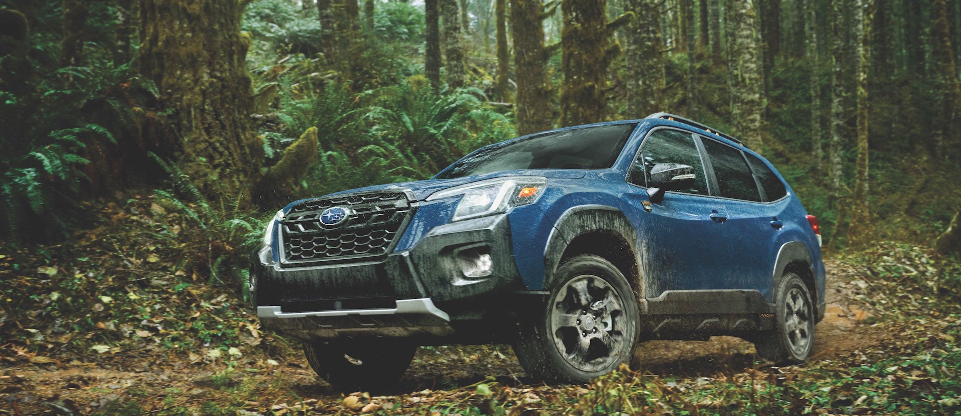 2022 Subaru Forester Wilderness | Sutherlin Subaru in Kingston TN