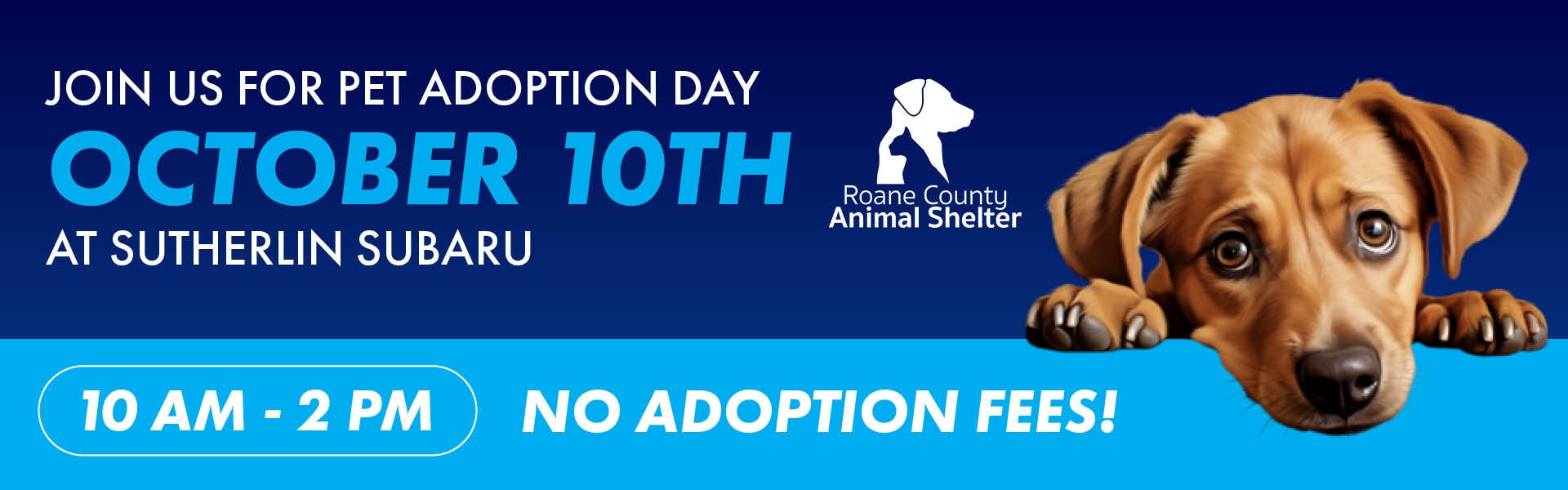 Pet Adoption