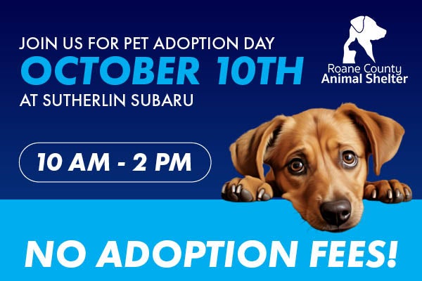 Pet Adoption