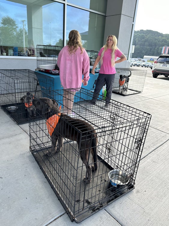 Roane County Animal Shelter 1