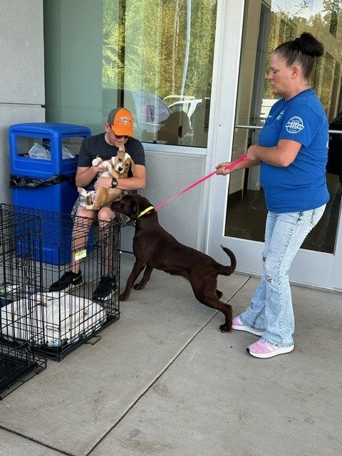 Roane County Animal Shelter 1