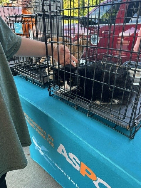 Roane County Animal Shelter 1