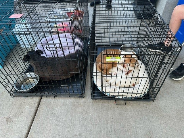 Roane County Animal Shelter 1