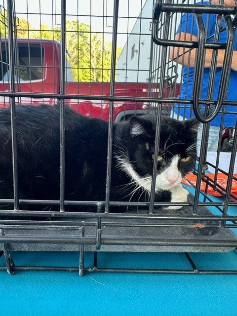 Roane County Animal Shelter 1