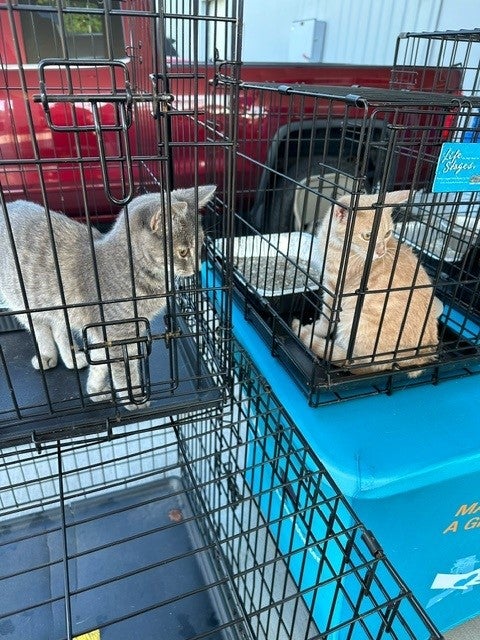 Roane County Animal Shelter 1